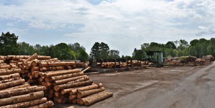 Pila Borohrádek
