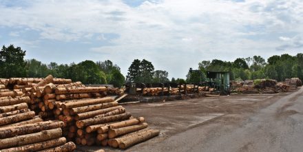 Pila Borohrádek